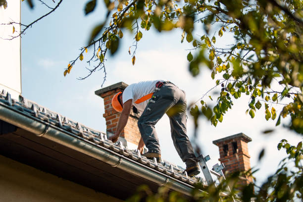 Best Roof Moss and Algae Removal  in Ishpeng, MI