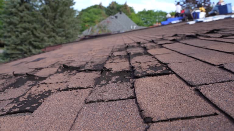 Best Roof Ventilation Installation  in Ishpeng, MI