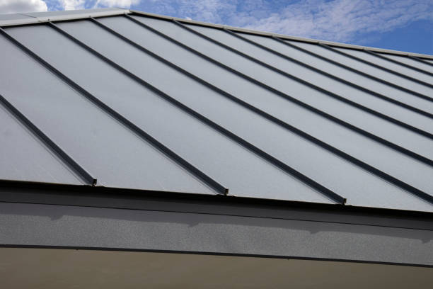 Best Roof Coating and Sealing  in Ishpeng, MI