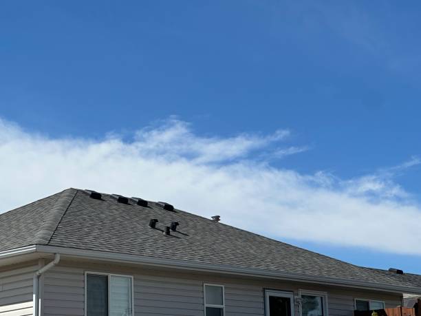 Best Chimney Flashing Repair  in Ishpeng, MI
